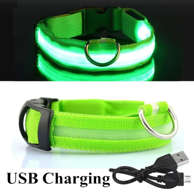 
                  
                    Green LED Collar
                  
                