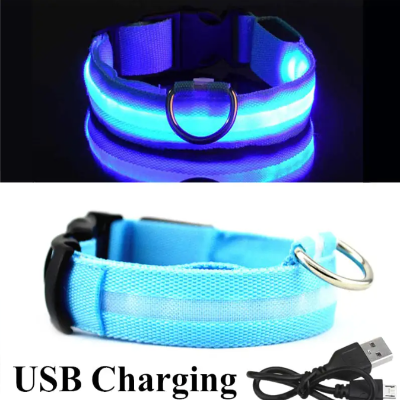 
                  
                    Blue LED Collar
                  
                