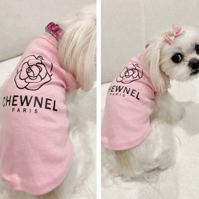 
                  
                    Chewnel | T-Shirt
                  
                