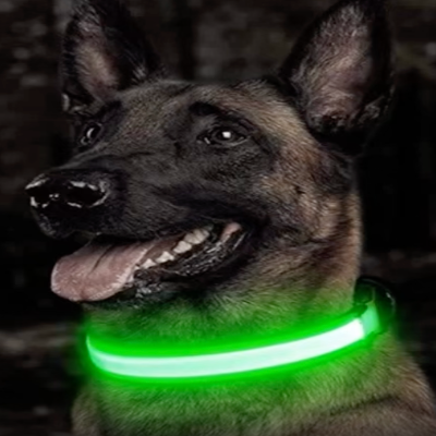 
                  
                    Green LED Collar
                  
                