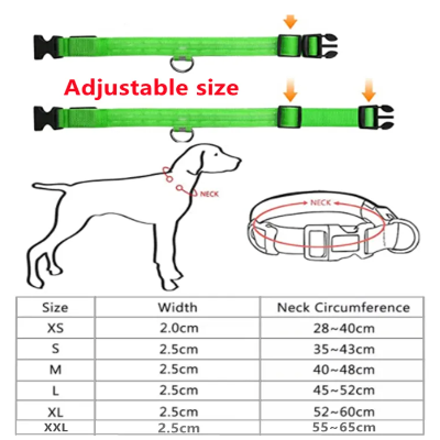 
                  
                    Green LED Collar
                  
                