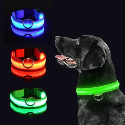 Glow Collars