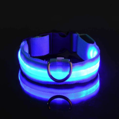 Blue LED Collar