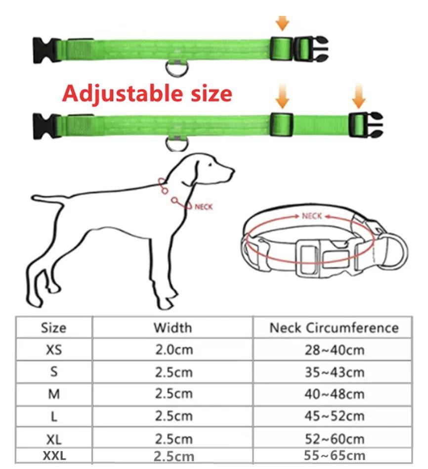 
                  
                    Luxury Dog Products: Premium Dog Collars and Accessories, LED Dog Collar, Glow in the Dark Dog Collar, Dog Collar Girl, Pet Safety
                  
                