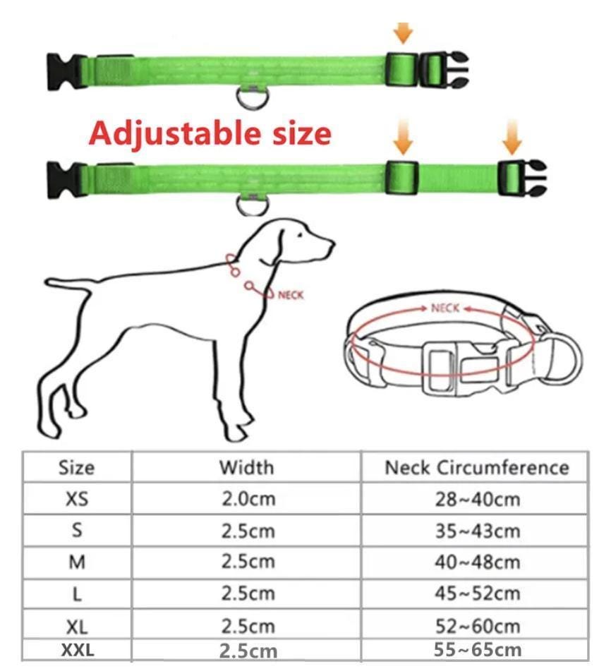 
                  
                    Luxury Dog Products: Premium Dog Collars and Accessories, LED Dog Collar, Glow in the Dark Dog Collar, Dog Collar Girl, Pet Safety
                  
                