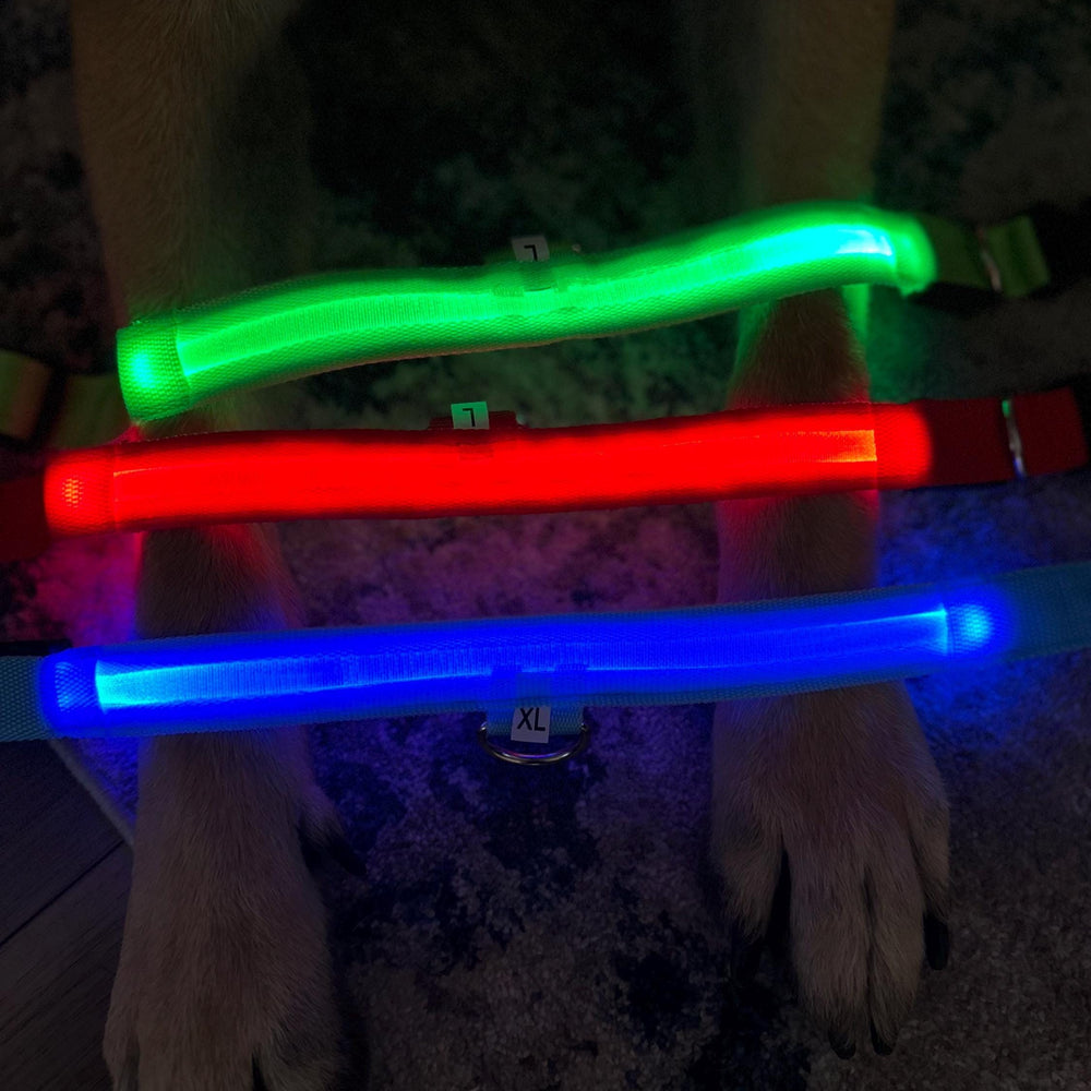 
                  
                    Luxury Dog Products: Premium Dog Collars and Accessories, LED Dog Collar, Glow in the Dark Dog Collar, Dog Collar Girl, Pet Safety
                  
                