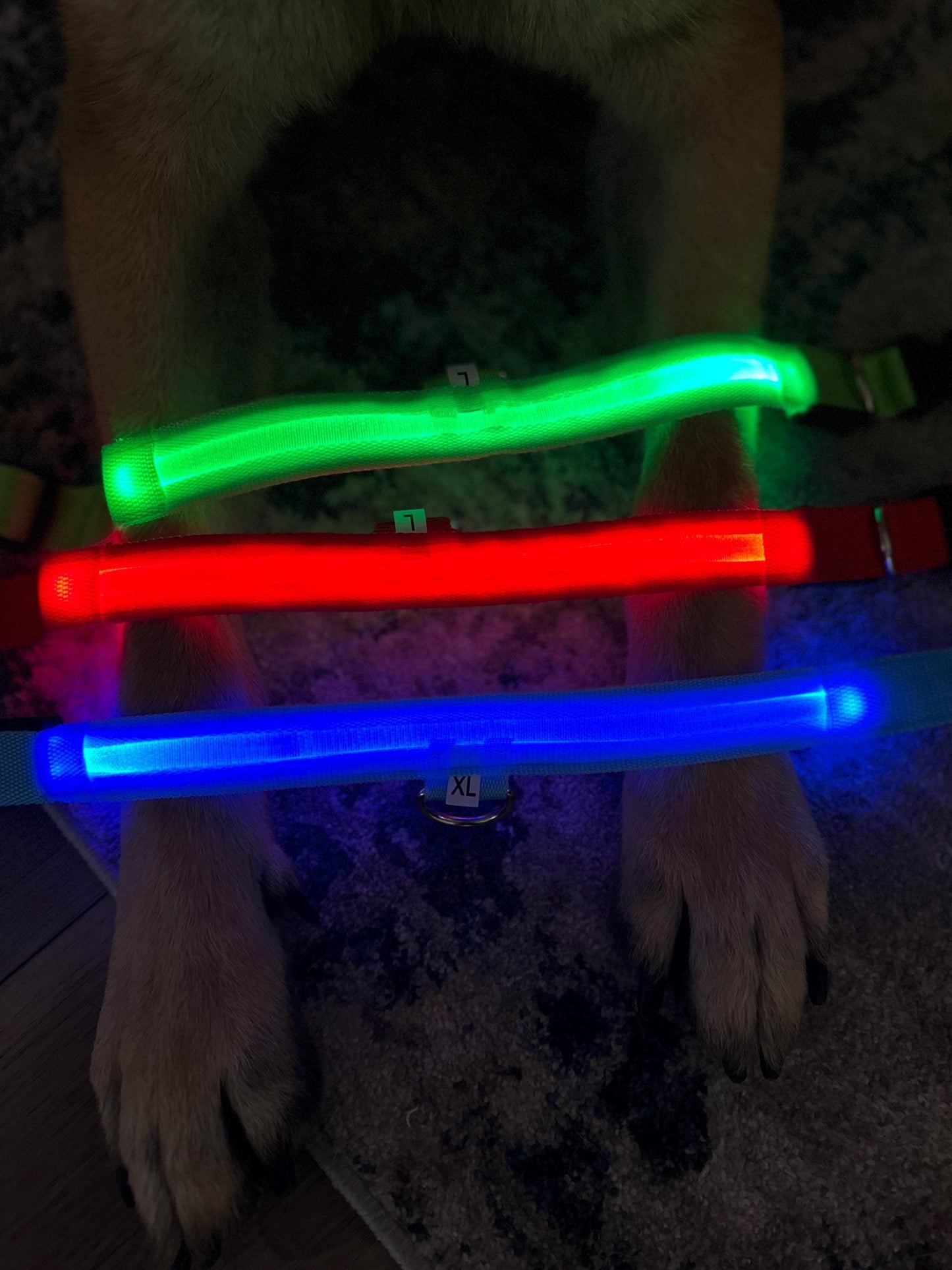 
                  
                    Luxury Dog Products: Premium Dog Collars and Accessories, LED Dog Collar, Glow in the Dark Dog Collar, Dog Collar Girl, Pet Safety
                  
                